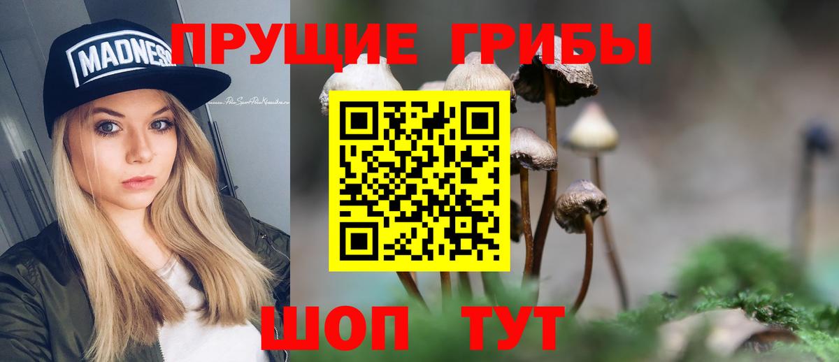 Чайковский  Псилоцибиновые грибы MAGIC MUSHROOMS  Вход с VPN 